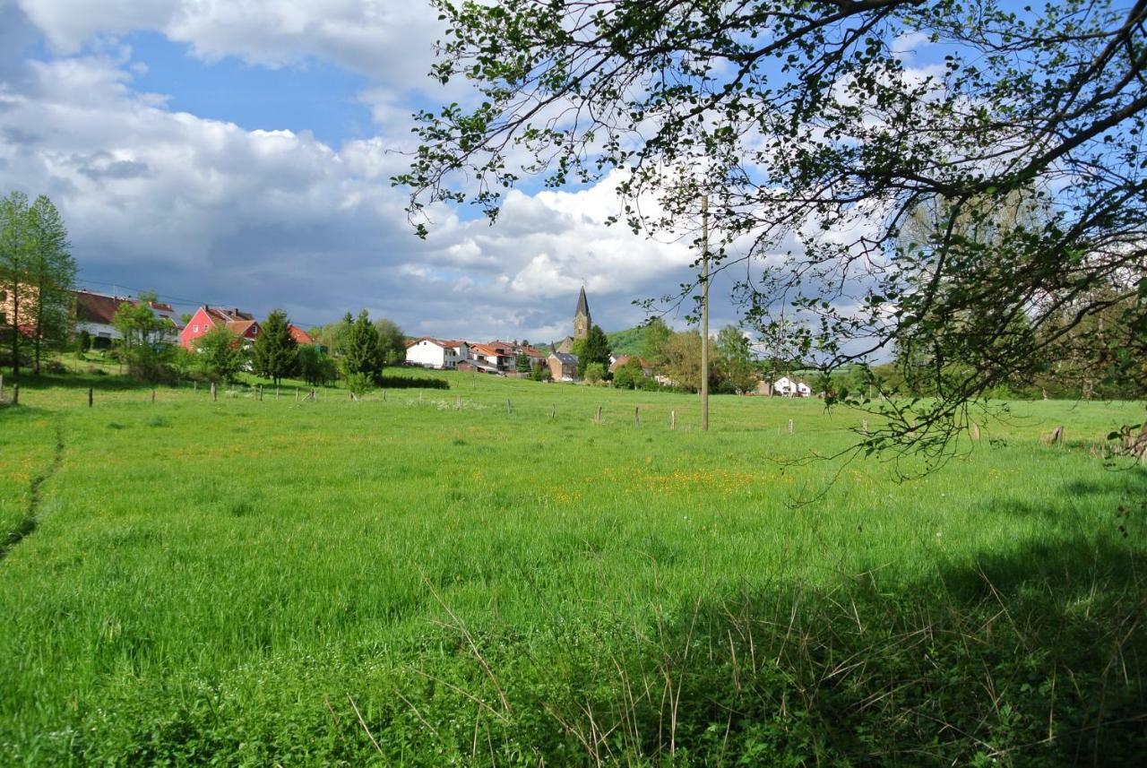 Ferienwohnung Zur Muehle Sotzweiler Exterior foto